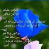 romanaliali817