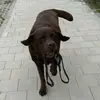 defnotizastiktok2