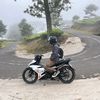 ptraalsmna_
