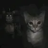 tinja_sirkia