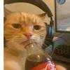 thefreefirecat
