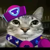 brawljust_sad