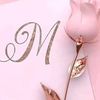 user5852029414571