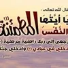 user81382883974702