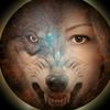 volf_k