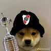 mateogerez968