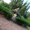 mohamed.majah2
