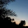 kjhgfdsa_12