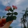 sadafbashir43