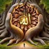 user9020444216072