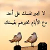 user5429438294503