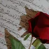 user330625798