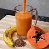Receita Todo Dia
