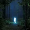 a_1_v3