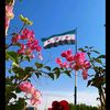 『🌷كل يوم حديث🌷』