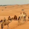 Desert Safari Dubai