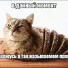 user6611800312048