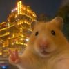 soggytoast_22
