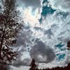alex_23190