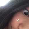 yyc_mica