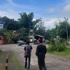 cendrawasih8035