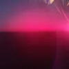 fun_1prank