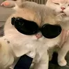 guysitsmeyani