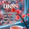 frank.bonilla743