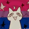 stella_u6