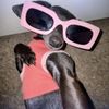 piwpiw5206