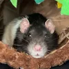 marnielpb