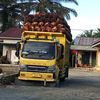 wongsadar257