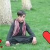 user77593791929607
