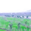 user8474019172871