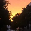 emna.lahbib54
