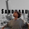 sadaru.dhilshan3