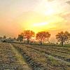 khaskheli.ladla