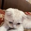 bonny2348