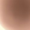 delil_3404