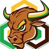 blockchainbullhornfxx