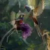 kk070167kro