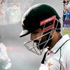 cricket.2377