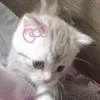 m_llll16