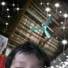 thoa.nguyen.van.t