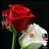 alizy_.here.95