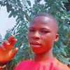 user4246233