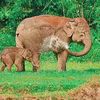 samsul.huq468