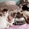 karine.perrin2
