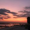 caroline_roed