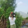 bipana.darlami95